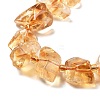 Natural Citrine Beads Strands G-C179-C02-01-4