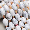 Natural Fire Crackle Agate Beads Strands G-A321-J06-01-1