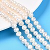 Natural Cultured Freshwater Pearl Beads Strands PEAR-N014-06C-1