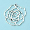 Tibetan Style Alloy Pendants LS-LF10554Y-2