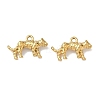 304 Stainless Steel Pendants STAS-I367-09G-1