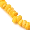 Dyed Natural Freshwater Shell Beads Stretch Bracelets for Men Women BJEW-JB12477-03-4