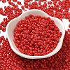 Baking Paint Glass Seed Beads SEED-K009-01A-07-2