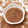 MIYUKI Delica Beads SEED-J020-DB0987-2