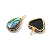 Copper Wire Wrapped Natural Paua Shell Pendants PALLOY-JF05711-2