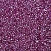 MIYUKI Delica Beads SEED-MY11-DB2156-3