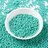 MIYUKI Round Rocailles Beads X-SEED-G008-RR4475-3