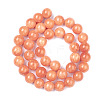 Natural Mashan Jade Beads Strands DJAD-10D-18-2-3