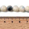 Natural Blue Ice Glacierite Stone Beads Strands G-G078-A01-02-4