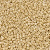 MIYUKI Delica Beads SEED-X0054-DB1571-3