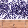 MIYUKI Delica Beads SEED-J020-DB0609-4
