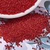 MIYUKI Delica Beads SEED-X0054-DB0745-1