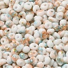 Baking Paint Glass Seed Beads SEED-F006-01A-12-3
