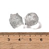 Transparent Glass Beads GLAA-D025-05B-3
