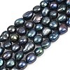 Natural Cultured Freshwater Pearl Beads Strands PEAR-P064-20K-05D-2