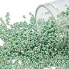 TOHO 11/0 Round Beads X-SEED-TR11-PF0570-1