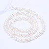 Natural Cultured Freshwater Pearl Beads Strands PEAR-R063-08-1-2