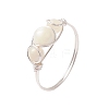 Round Natural Sea Shell Finger Rings RJEW-JR00848-02-2