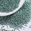MIYUKI Delica Beads SEED-X0054-DB0416-1