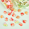 Opaque Resin Decoden Cabochons RESI-SP0001-04A-6