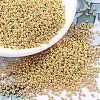 MIYUKI Round Rocailles Beads LS-X-SEED-G007-RR1052-1