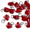 Faceted Transparent Glass Charms GLAA-T024-06I-1
