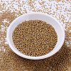 MIYUKI Delica Beads X-SEED-J020-DB2043-2
