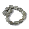Natural Labradorite Beads Strands G-F743-04D-3