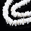 Natural White Shell Beads Strands SSHEL-S266-029-3