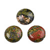 Natural Unakite Cabochons G-TAC0010-02A-1