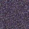 MIYUKI Delica Beads SEED-J020-DB1244-2