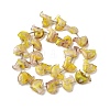 Handmade Lampwork Beads Strands LAMP-G167-01-2