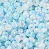 3/0 Glass Seed Beads SEED-L011-03A-12-3