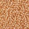 TOHO Round Seed Beads SEED-XTR08-0955-2