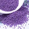 MIYUKI Delica Beads SEED-MY11-DB0660-1