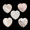 Natural Freshwater Shell Cabochons SHEL-C010-10B-1