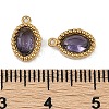 Ion Plating(IP) 304 Stainless Steel Micro Pave Cubic Zirconia Charms STAS-K256-19G-01-3
