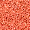 MIYUKI Round Rocailles Beads SEED-G008-RR0424-3
