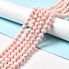 Synthetic Turquoise and Sea Shell Assembled Beads Strands G-D482-01A-06-1