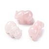 Natural Rose Quartz Display Decorations DJEW-P019-C05-1