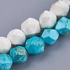 Dyed Natural Howlite Beads Strands TURQ-F010-12-1