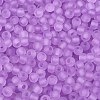 FGB Frosted Transparent Glass Seed Beads SEED-N013-02A-07-3