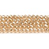 Transparent Electroplate Glass Beads Strands X1-GLAA-H021-01B-PL01-2