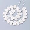 Natural White Shell Beads SSHEL-Q298-07-2