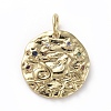 Brass Micro Pave Cubic Zirconia Pendants ZIRC-G157-03B-01G-1