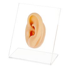 Soft Silicone Left Ear Displays Mould EDIS-WH0021-14B