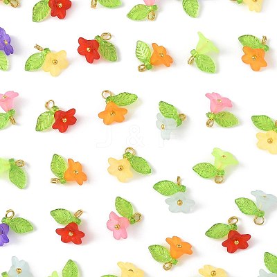 50Pcs Transparent Acrylic Pendants PALLOY-FS00043-06-1