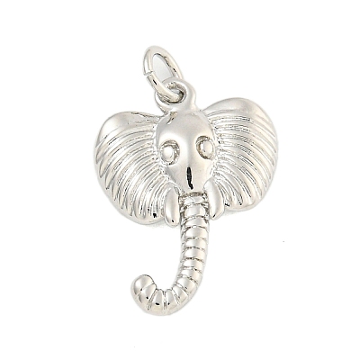 Rack Plating Brass Pendants KK-U021-07P-1