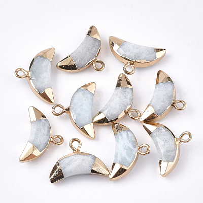 Electroplate Natural Amazonite Charms G-S344-48K-1