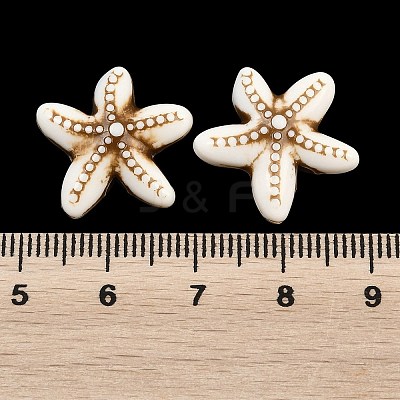 Ocean Theme Spray Painted Opaque Acrylic Beads ACRP-F003-02E-1